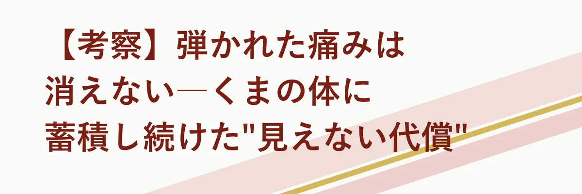 【考察】弾かれた痛みは消えない―くまの体に蓄積し続けた「見えない代償」