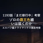 1193話「まだ修行中」考察ゾロの覇王色纏いは届くのかエルバフ編クライマックス徹底考察