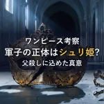 【徹底考察】軍子の正体シュリ姫、父殺しの真意とは
