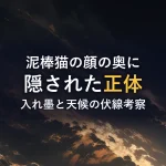 泥棒猫の顔の奥に隠された正体入れ墨と天候の伏線考察
