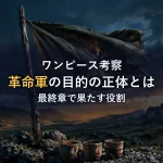 【徹底考察】革命軍の目的の正体と最終章での役割