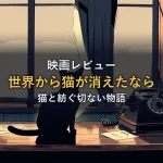 夕暮れの窓辺で佇む黒猫と古い電話・手紙のイメージ
