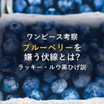 シャンクスが嫌いな「ブルーベリー」と不穏な花言葉